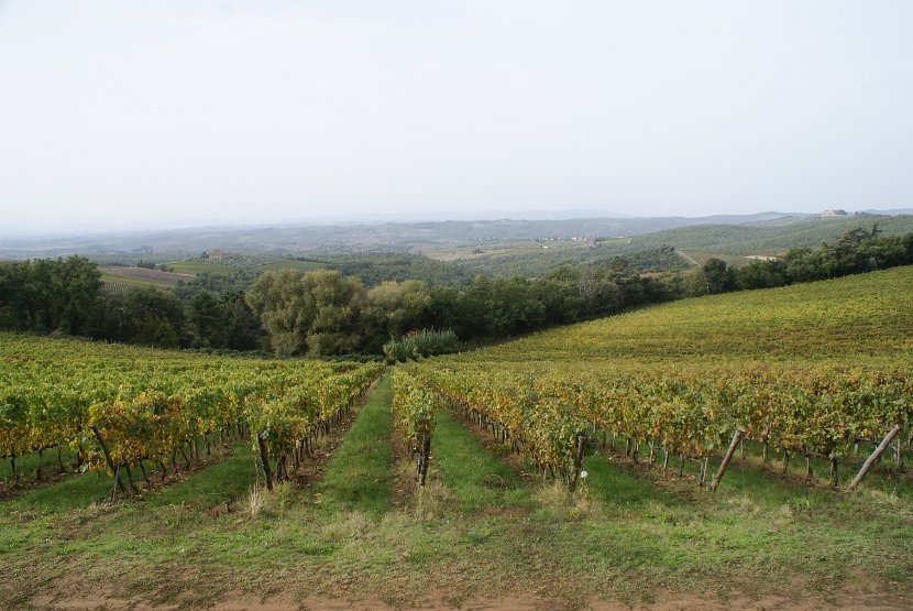 Chianti-2 2016 - 049